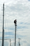 Up the Mast