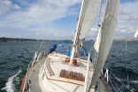 Sailing The Blue Dolphin