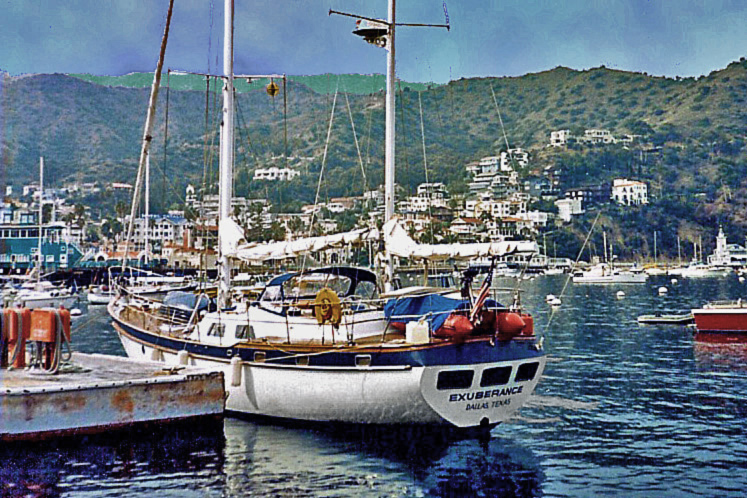 Exuberance At Catalina, Ca