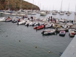 Dinghy Dock Madness