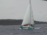 S/v Zazen