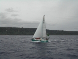 S/v Zazen