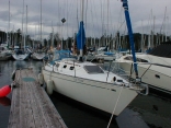 s/v CinDino - Crown 34