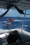 Coast Guard check at sea