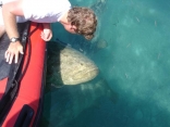 Sailors Life At Fort Jefferson, Aka The Dry Tortugas