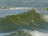 Waves On The Lake