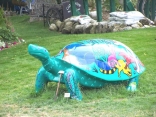 16. Turtle from which Mackinac Island gets it's Indian name.