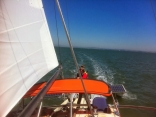 Sailing Sf Bay