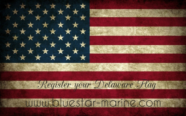 Delaware Flag Registration