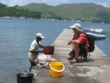 In The Grenadines - Red Snapper