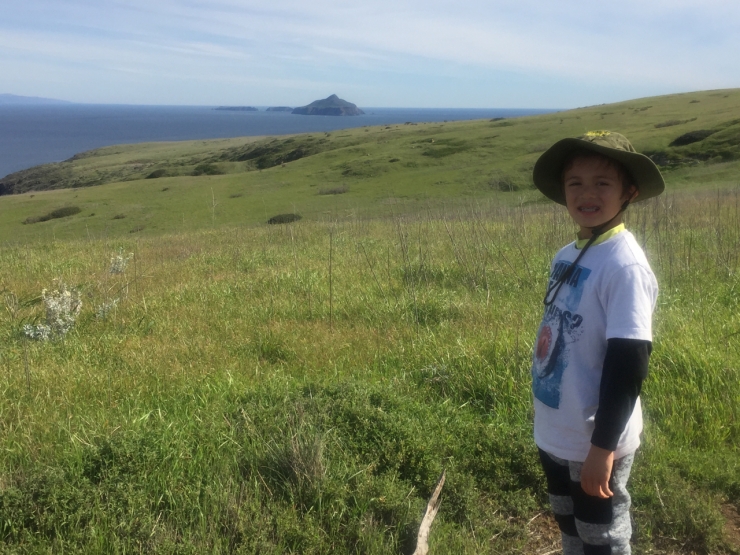 Viewing Anacapa Island From Santa Cruz Island