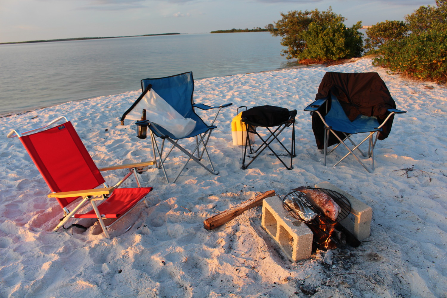 Island Bonfire Party And Cookout!