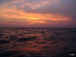 Sunset Over Gulf