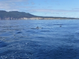 Cruising Tasmania's East Coast