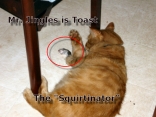 The Squirtinator