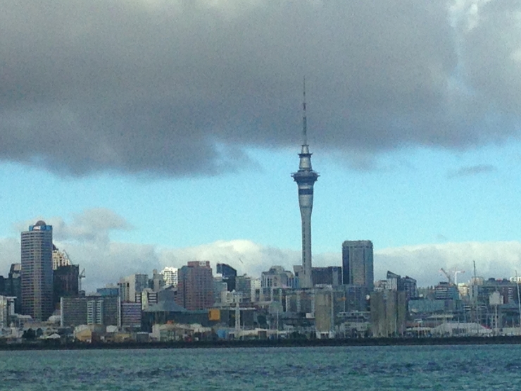 Sailing In Nz