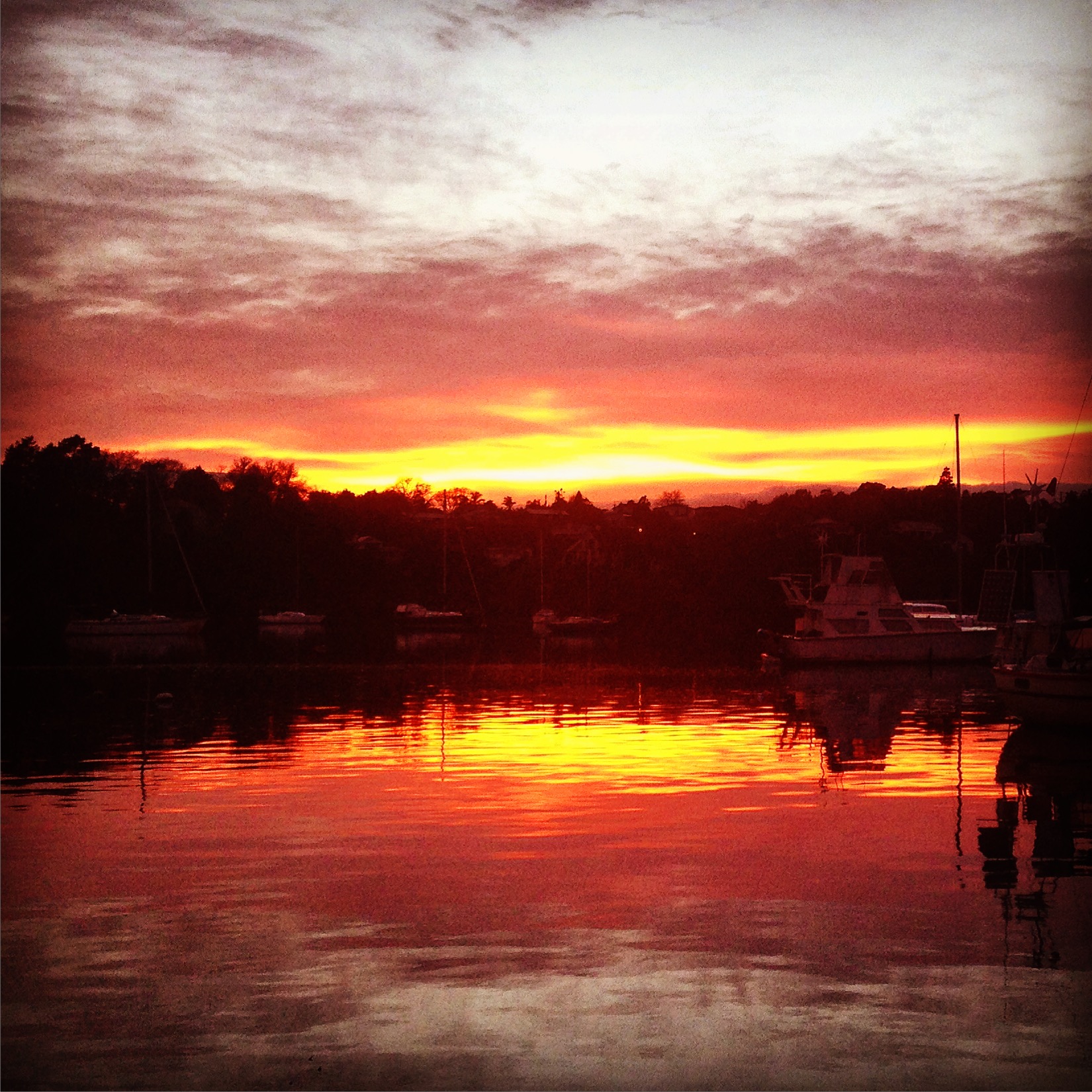 Sunrise At Herald Island, Auckland, Nz