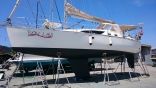 Bon Lavi Antifouling Painting