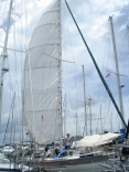 Max Roach Mainsail