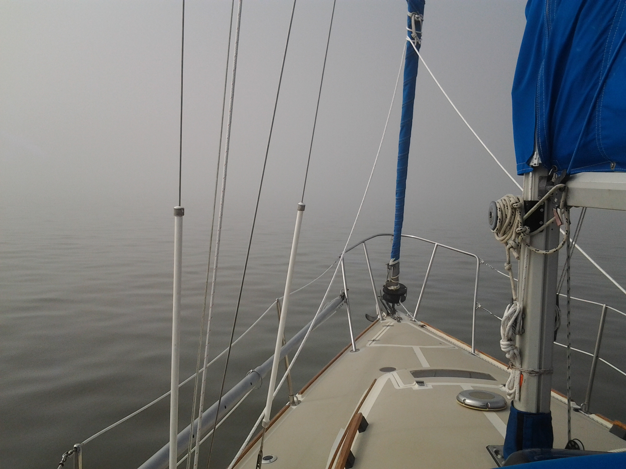 Fog2  Dec 2014 1