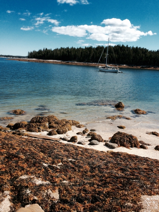 Isle Au Haut Island - Maine