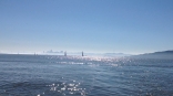 Sf Bay