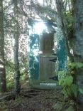 Outhouse In The Woods