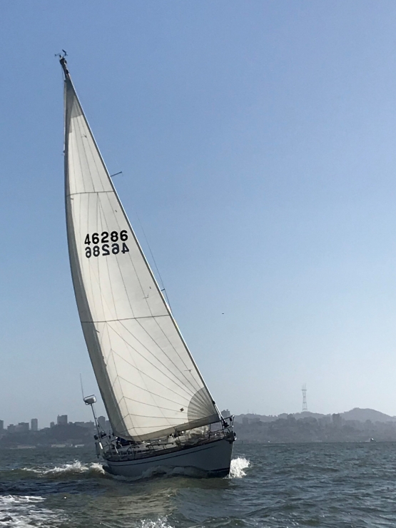 S F Bay Cruising