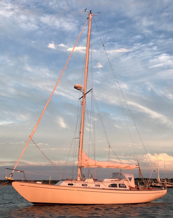 Lecomte Ne 38 At Dusk