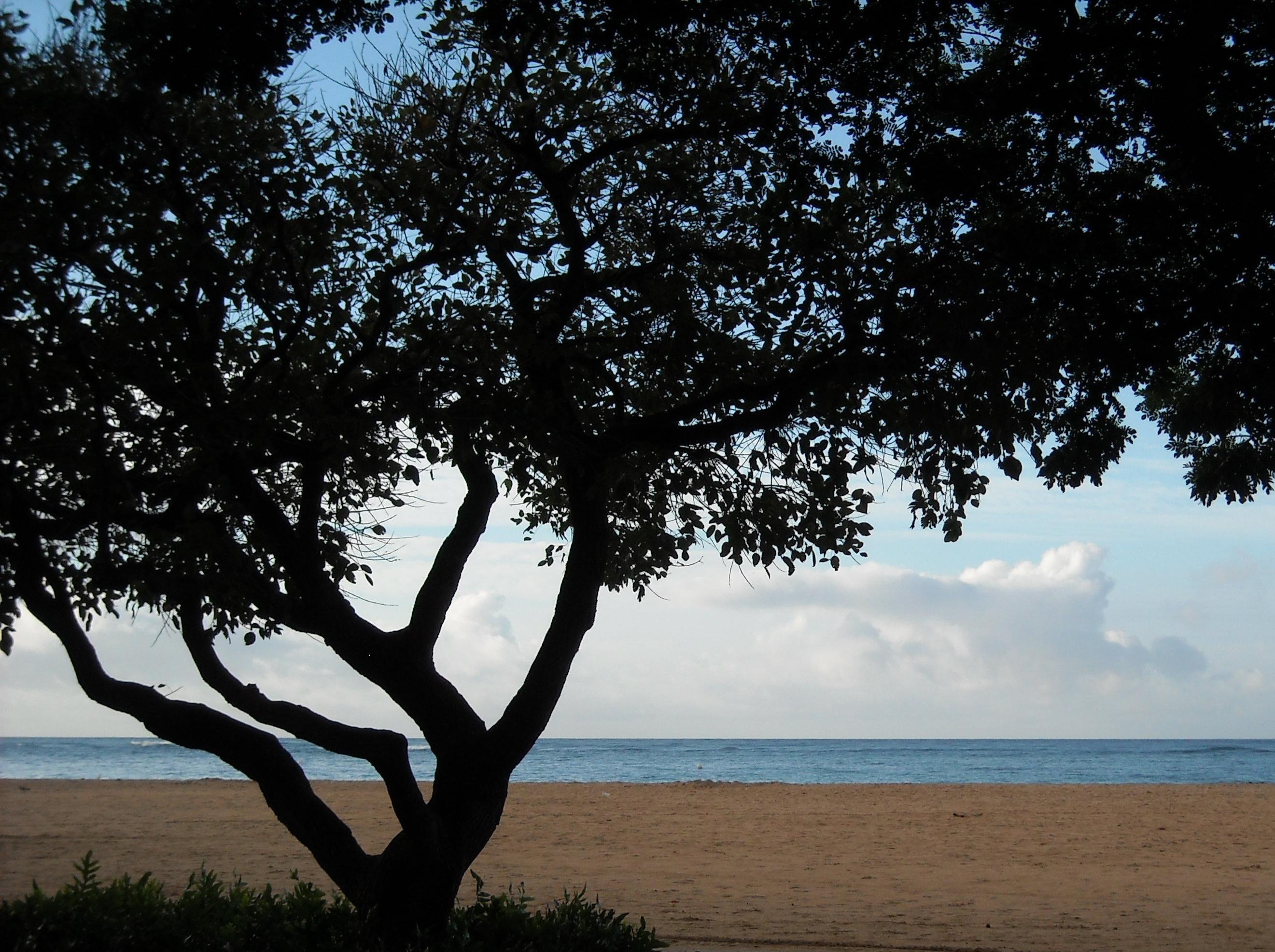 Waikiki