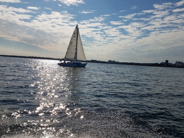 Sailing In Tampa Bay