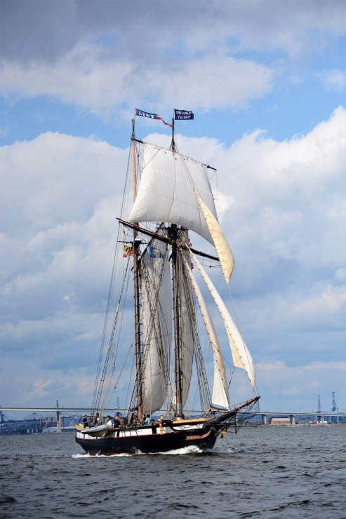 Tall Ship Harbor Cup Race