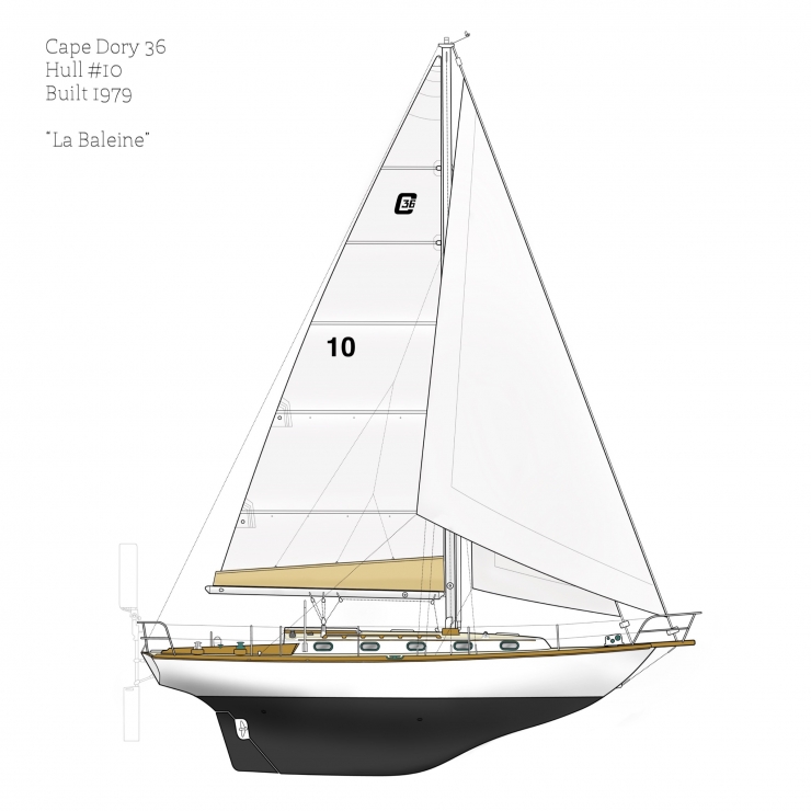 Cape Dory 36