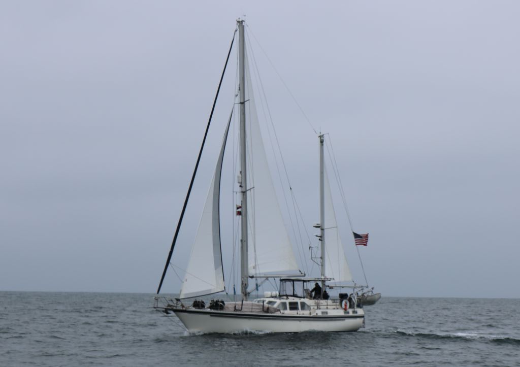 Grace under sail