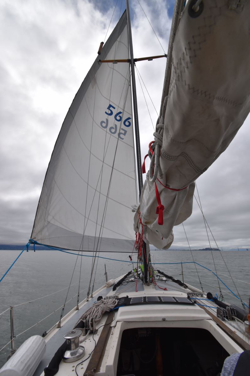 Genoa deployed in SF Bay