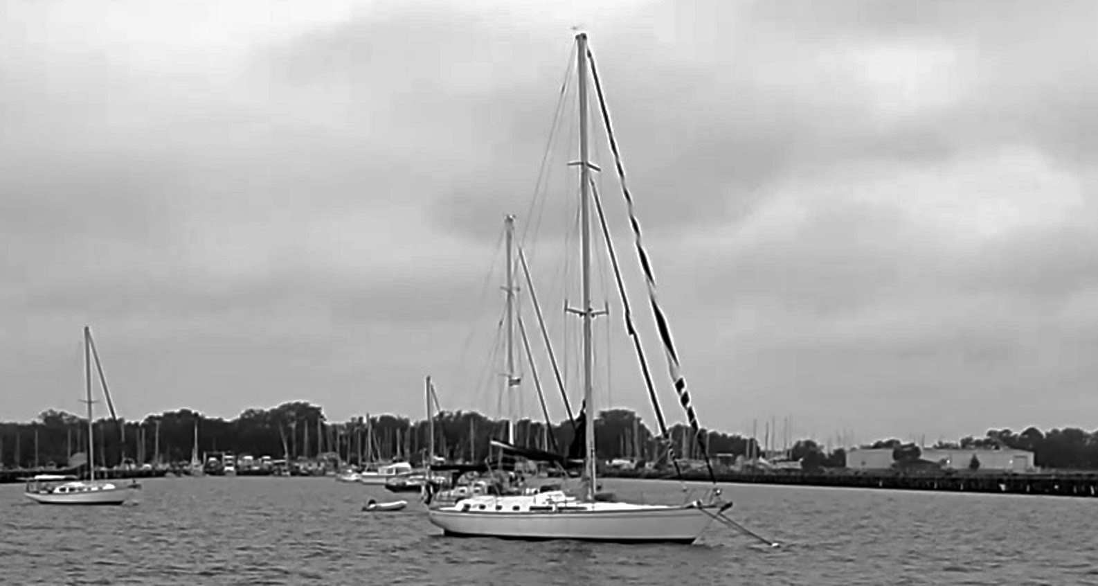 Moored At Green Cove Springs Marina