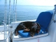 Best boating guest