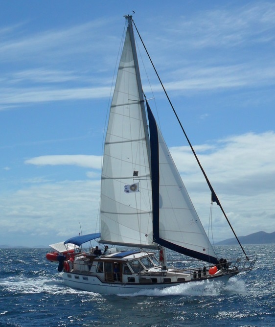 Archer In Storm Bay, Tasmania