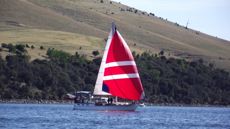 Archer On The Derwent River Tasmania