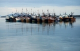 Panama Fishing Fleet