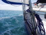 Moreton Bay Sailing