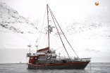 New Boat Arktika