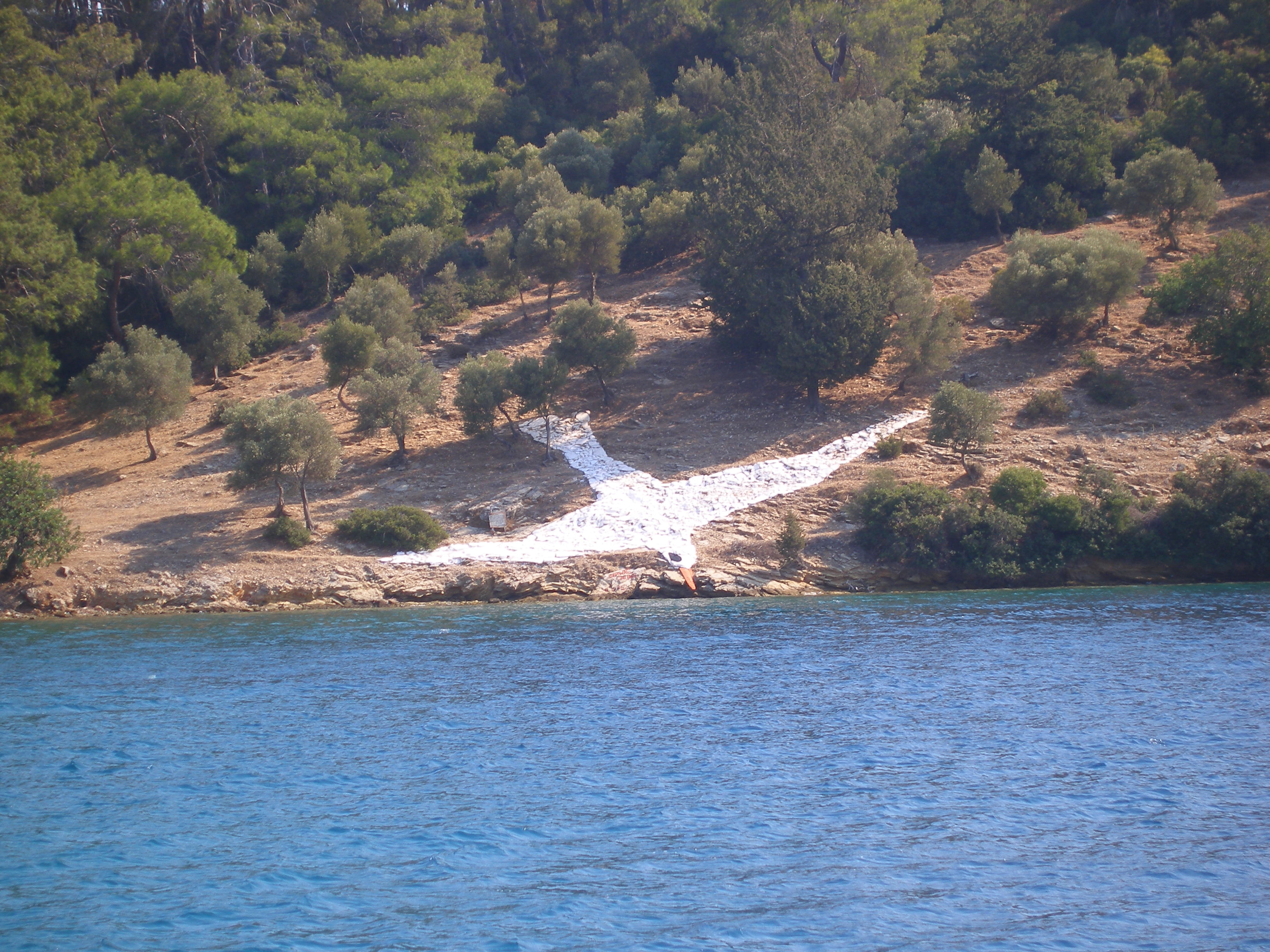 SEAGULL BAY, TURKEY