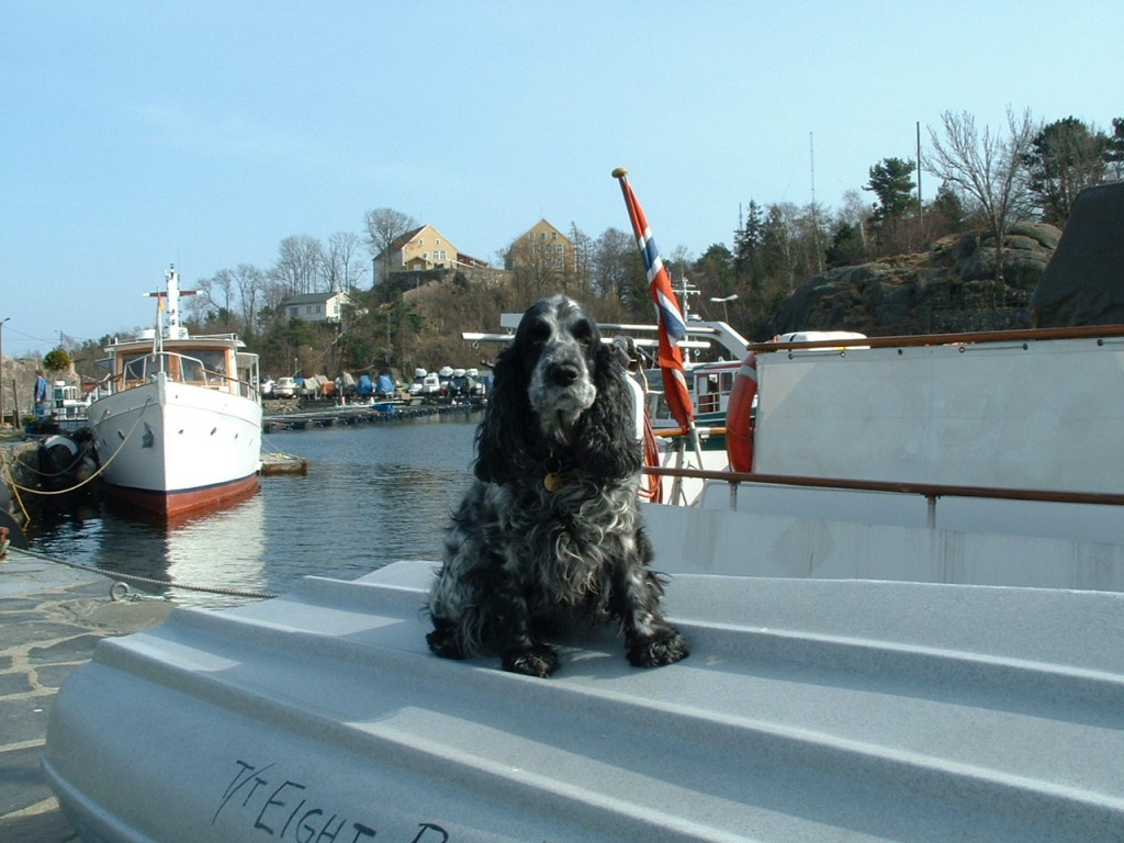 My ship dog Bonnie at our regular moorings.