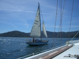 Sunny Day In The Queen Charlotte Sounds, Nz