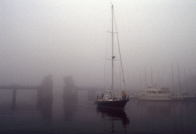 Spa Creek Foggy Morning