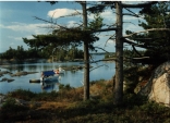 Unamed cove in Beaverstone Bay, Lake Huron