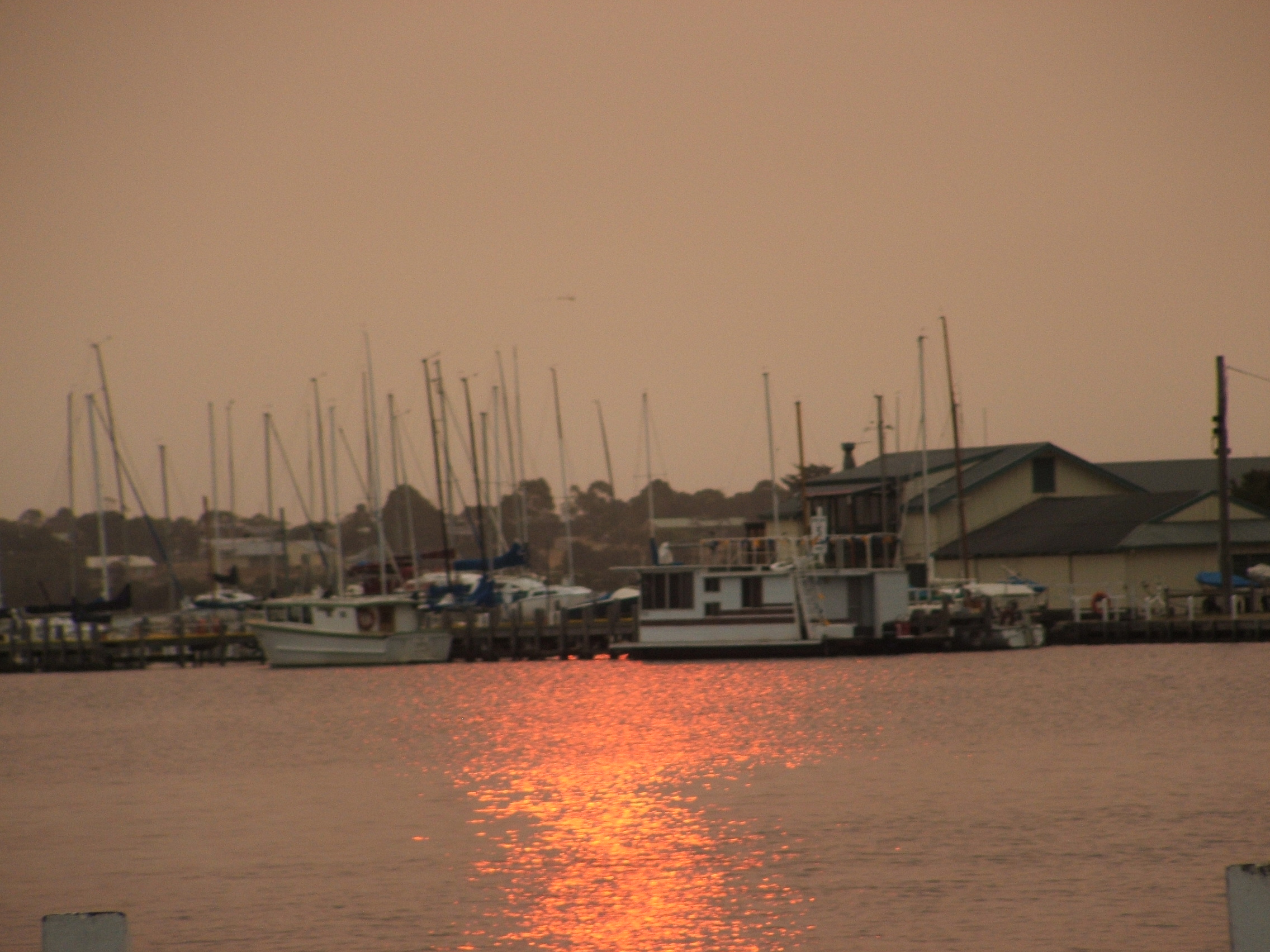 bush fires australia