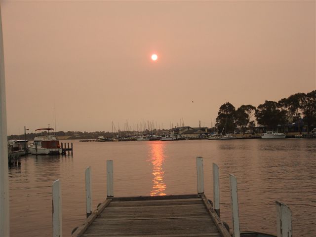 bush fires australia