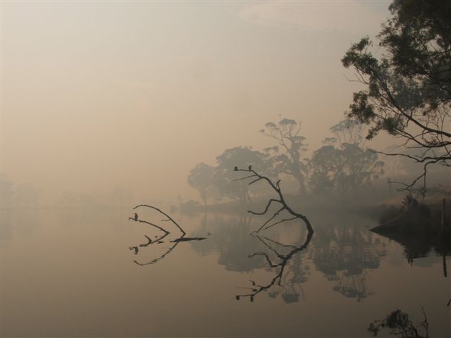 bush fires australia